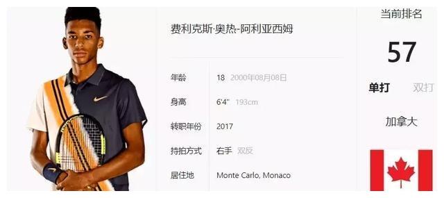 为他们奠定 为他们奠定